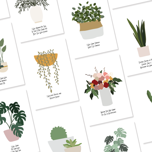 Affirmation Cards - New Growth