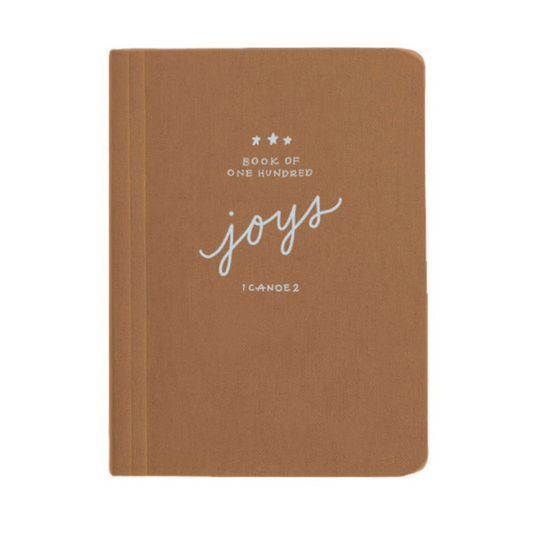 100 Joys Journal