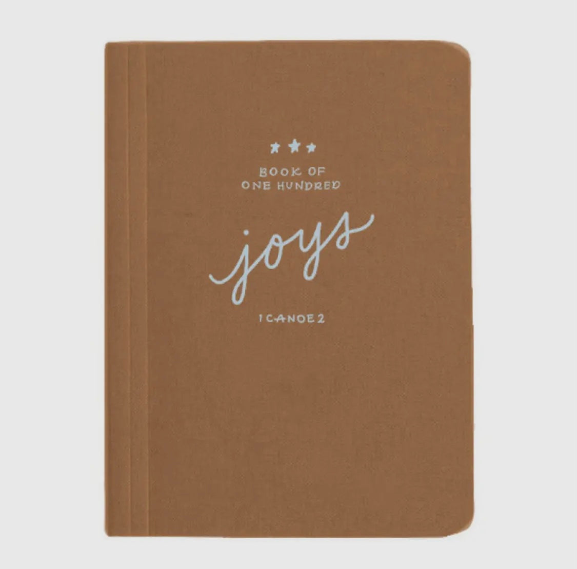 100 Tiny Joys Journal