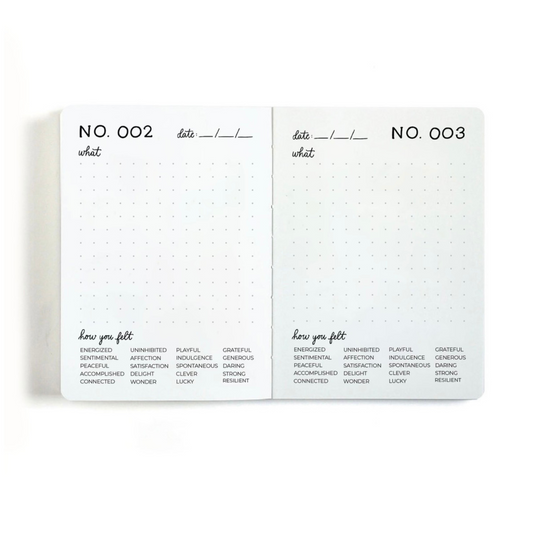 100 Joys Journal